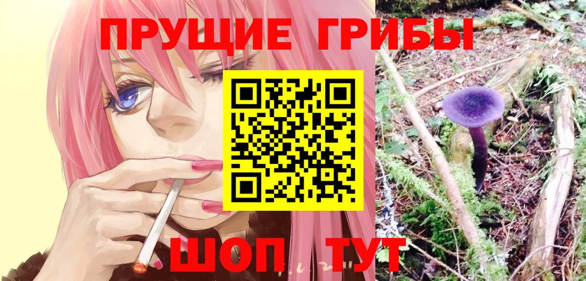 Галлюциногенные грибы мицелий Ливны